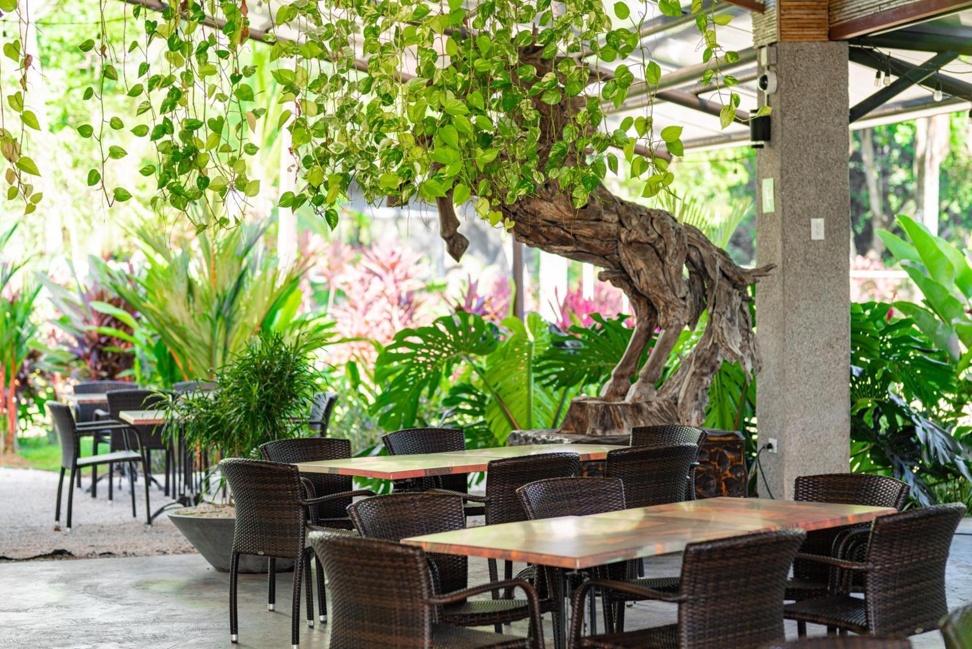 Hotel Costa Pacifica 에스테리요스 외부 사진